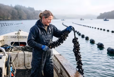 Aquaculture hero — shellfish longline harvest — Program imagery, fisheries/aquaculture cluster.
