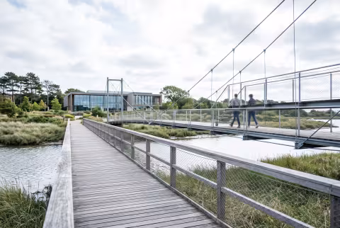Campus boardwalk and pedestrian bridge over a tidal channel — Facility / Department / Page imagery.